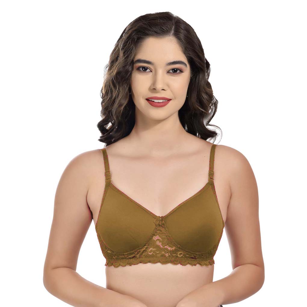 Women's Cotton Padded Wirefree Everyday Bra Combo-Pack.of 6 - GSN Store
